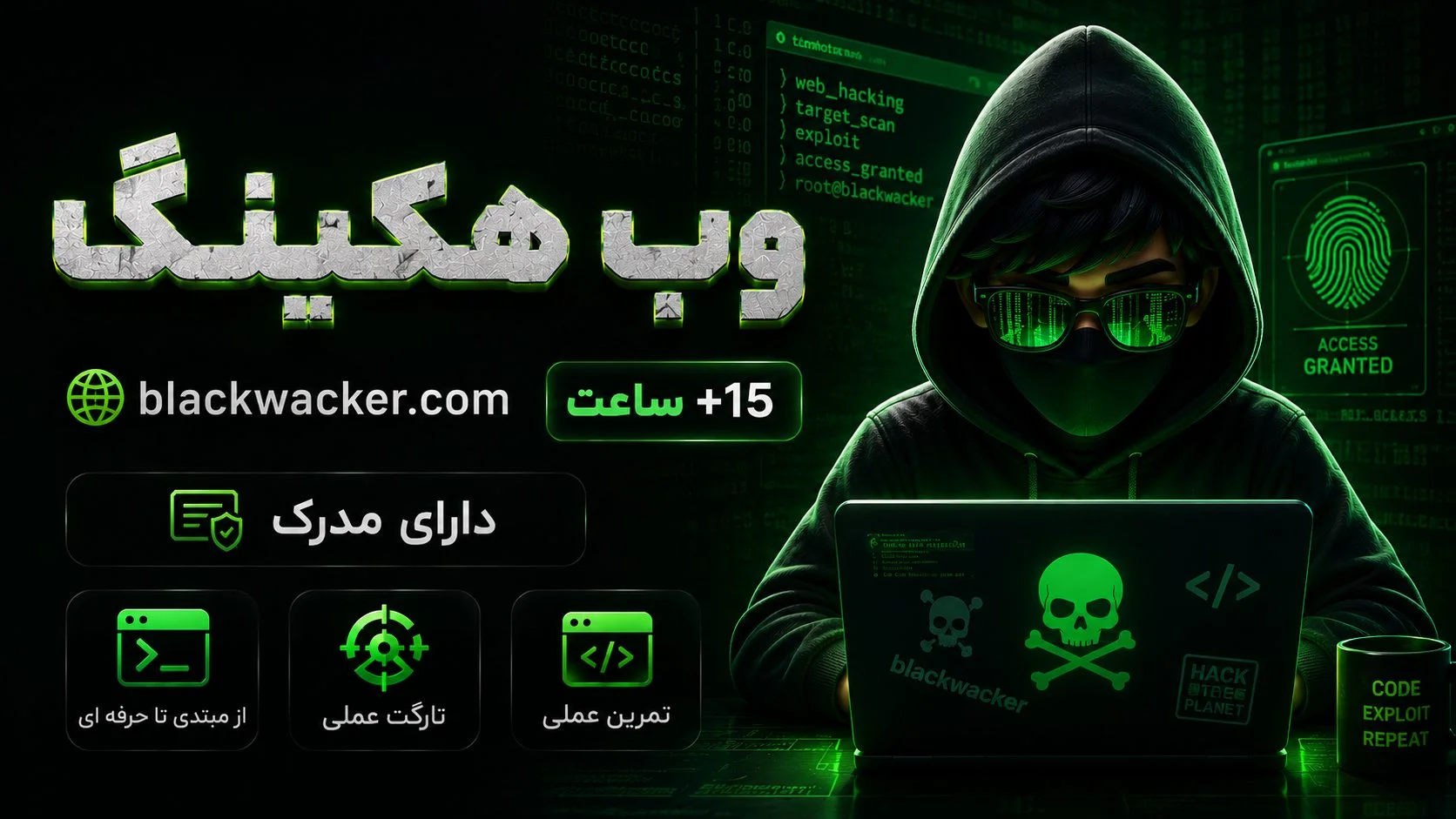 پروفشنال وب هکینگ